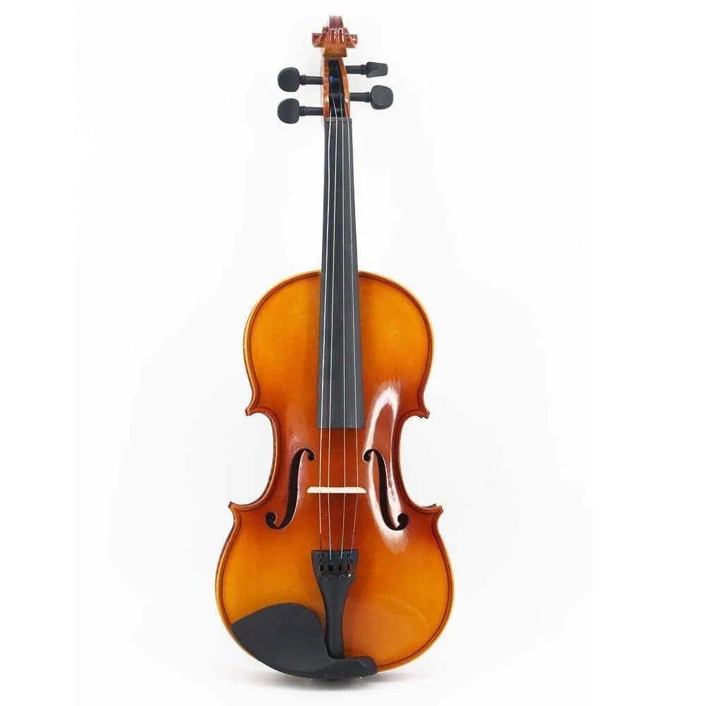 GIULIANI Violin SV 1 4/4