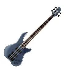 FERNANDES Electric Guitar Tremor T5X 08 BLK