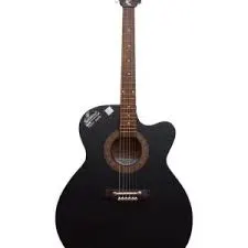 CUSTOM Acoustic Guitar CAG 2 EQ N