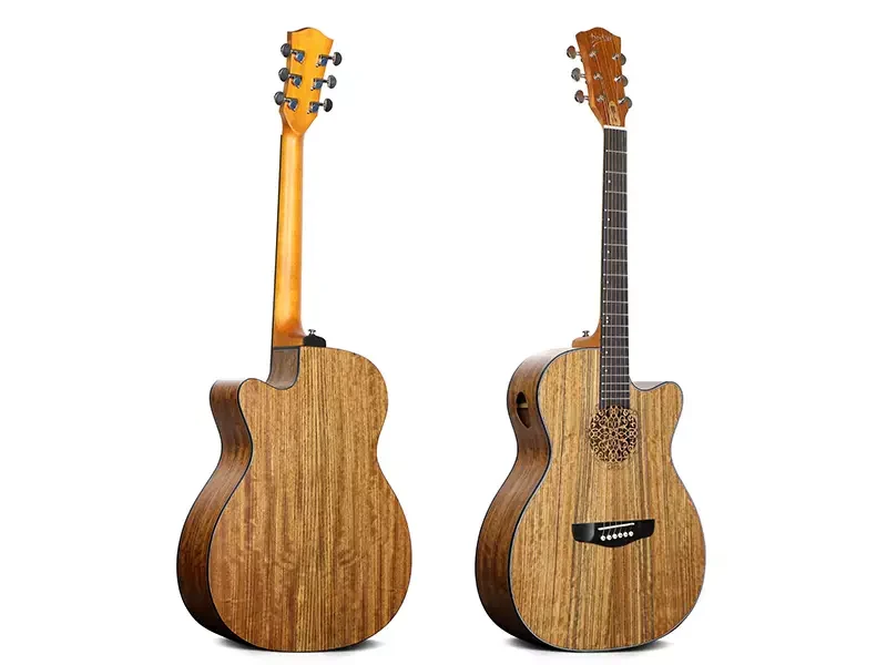 DEVISER Acoustic Guitar LS 180
