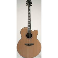 J&D Acoustic Guitar LPS 30