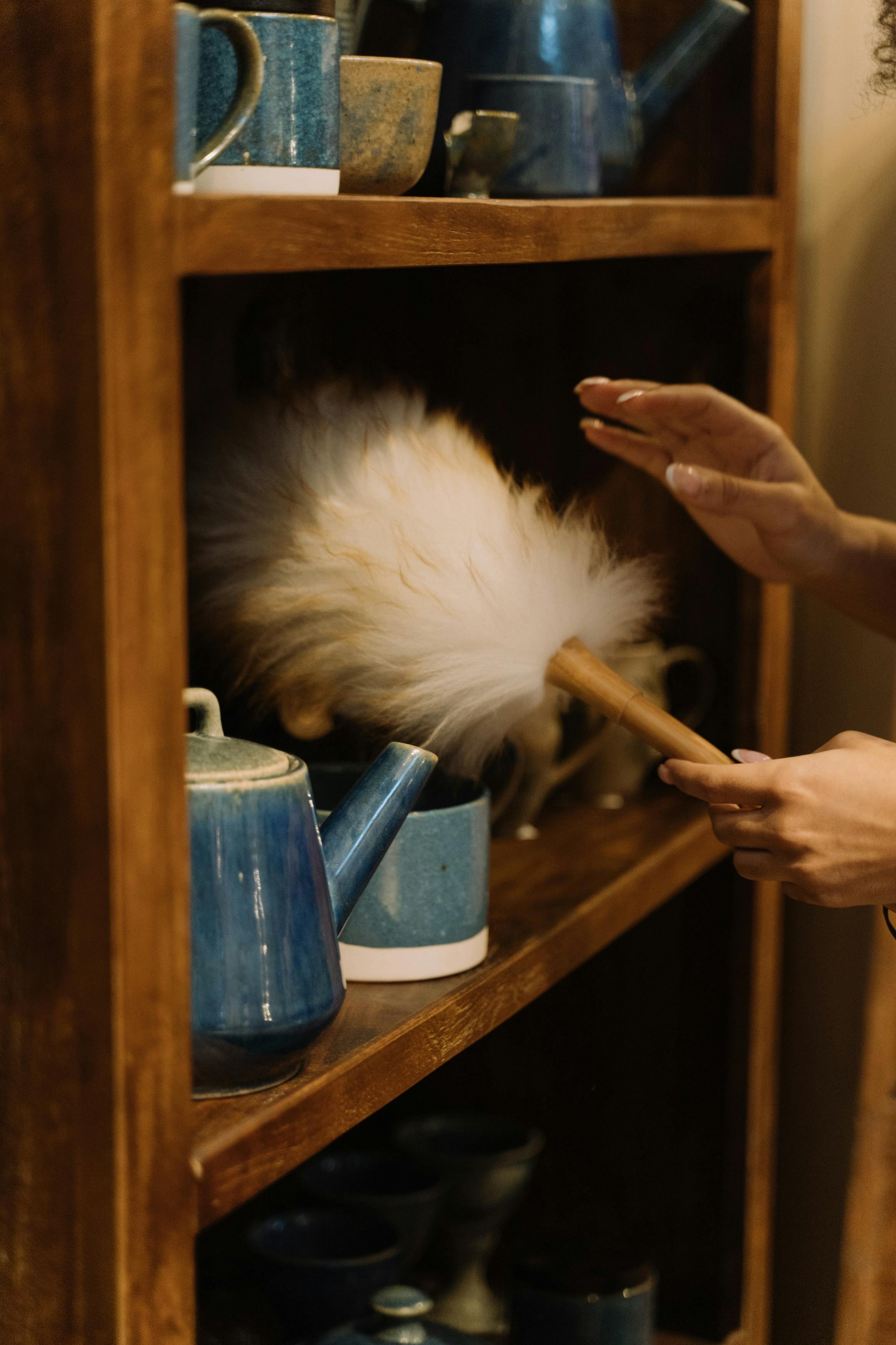 Dusting