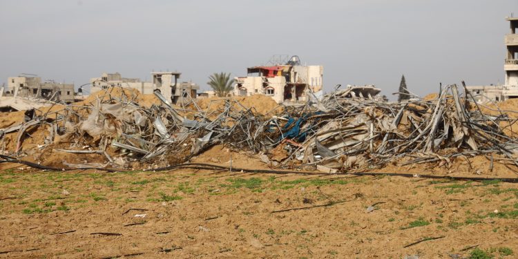 FAO: 95% Lahan Pertanian Gaza Hancur
