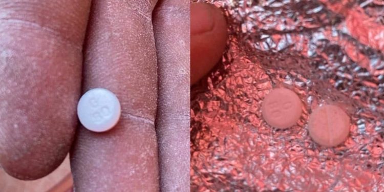 Ada Narkoba di Tepung Bantuan untuk Warga Gaza