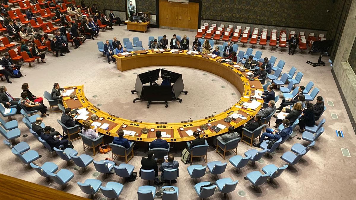 Resolusi DK PBB 2803, Mandat Pendukung Kolonial