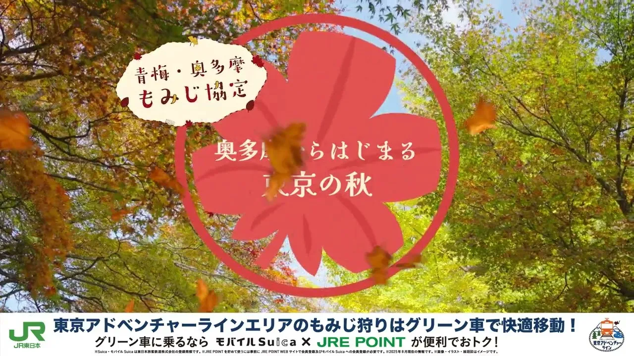 青梅・奥多摩 もみじ協定 JRサイネージ用 プロモーションムービー