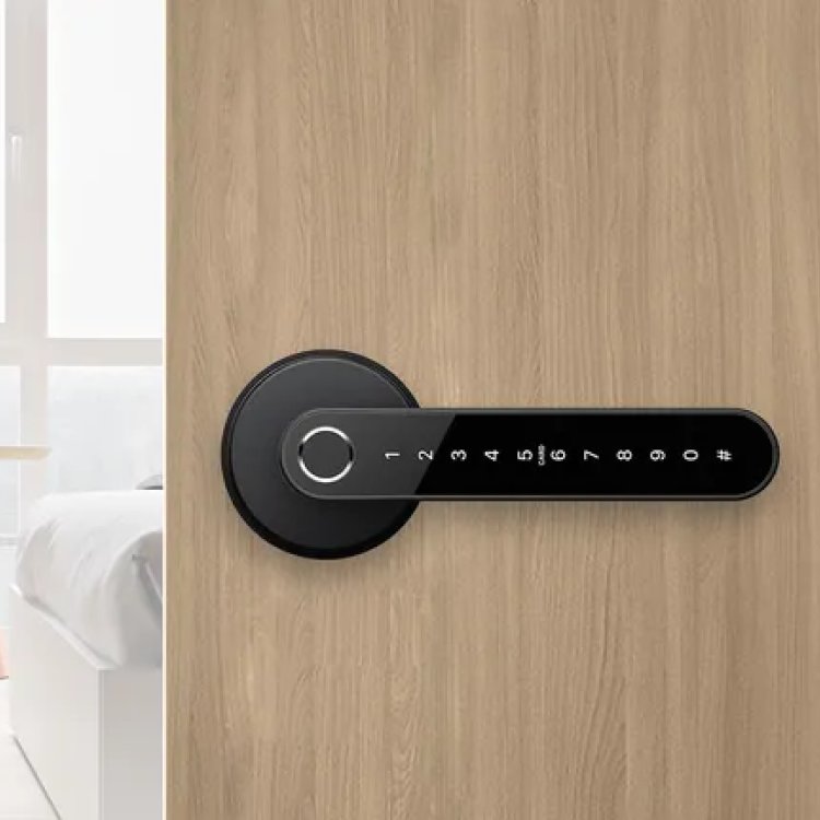 yala inteligenta TTLock N31 montata pe usa