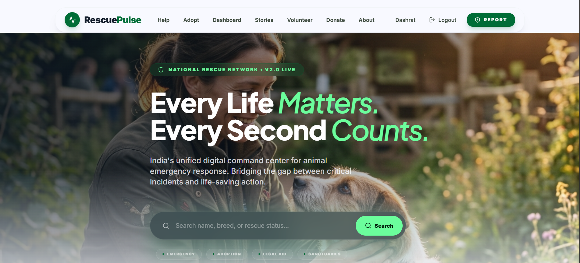Homepage Hero Section