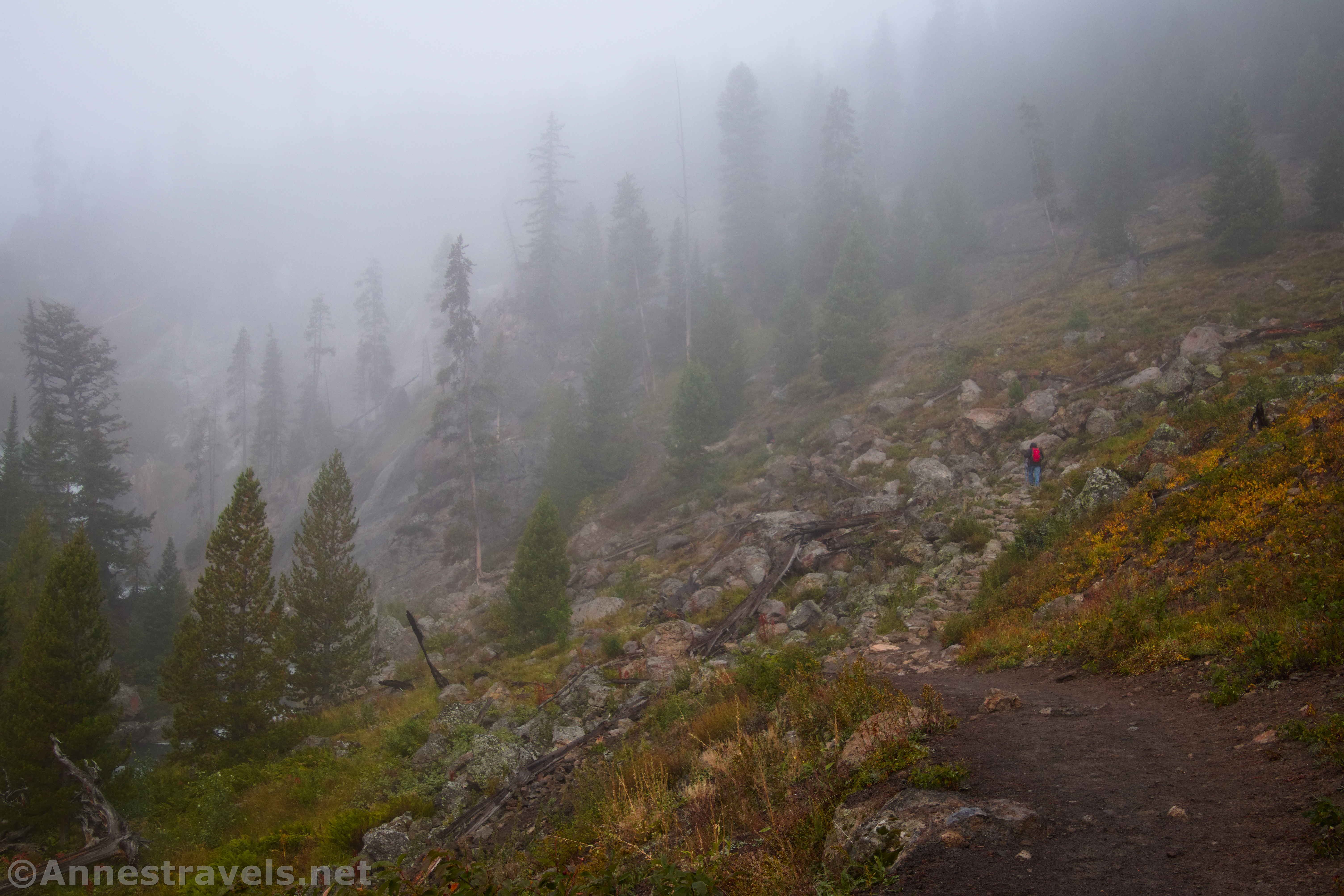 Hiking through the meadows toward Mystic Falls, Yellowstone National Park, Wyoming