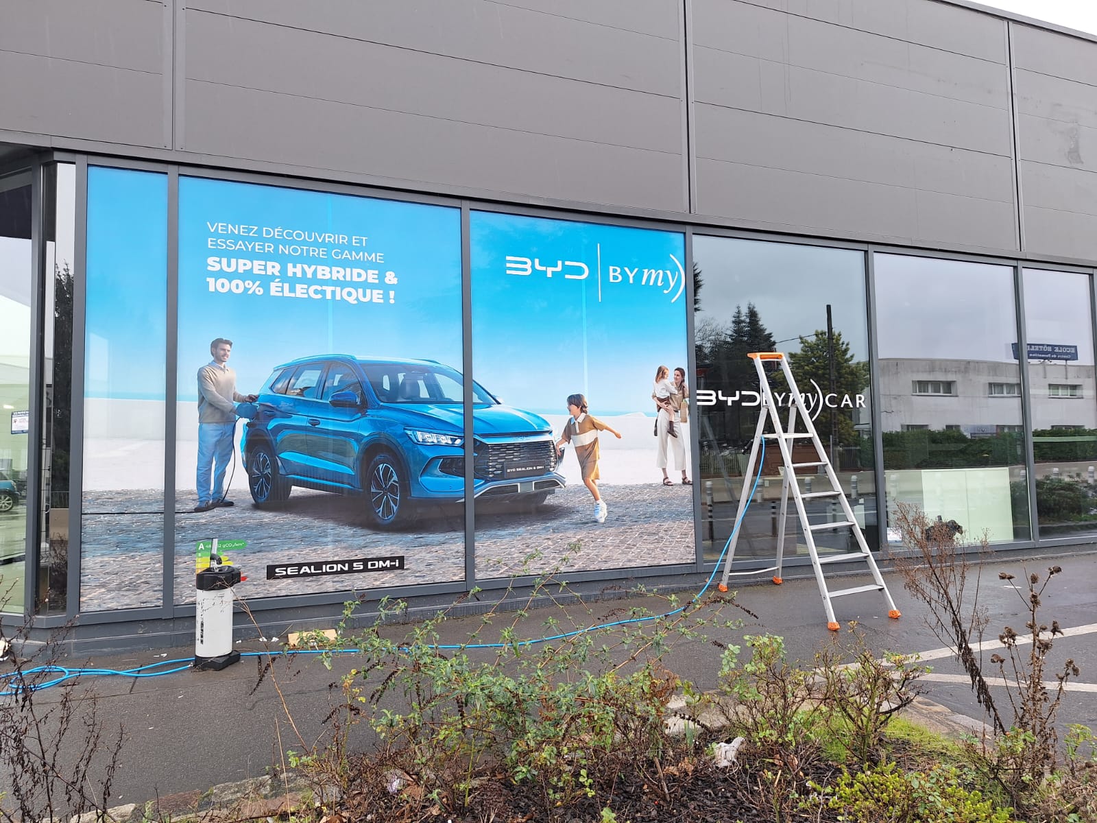 Nouvelle vitrophanie pour BYD : une visibilité renforcée!