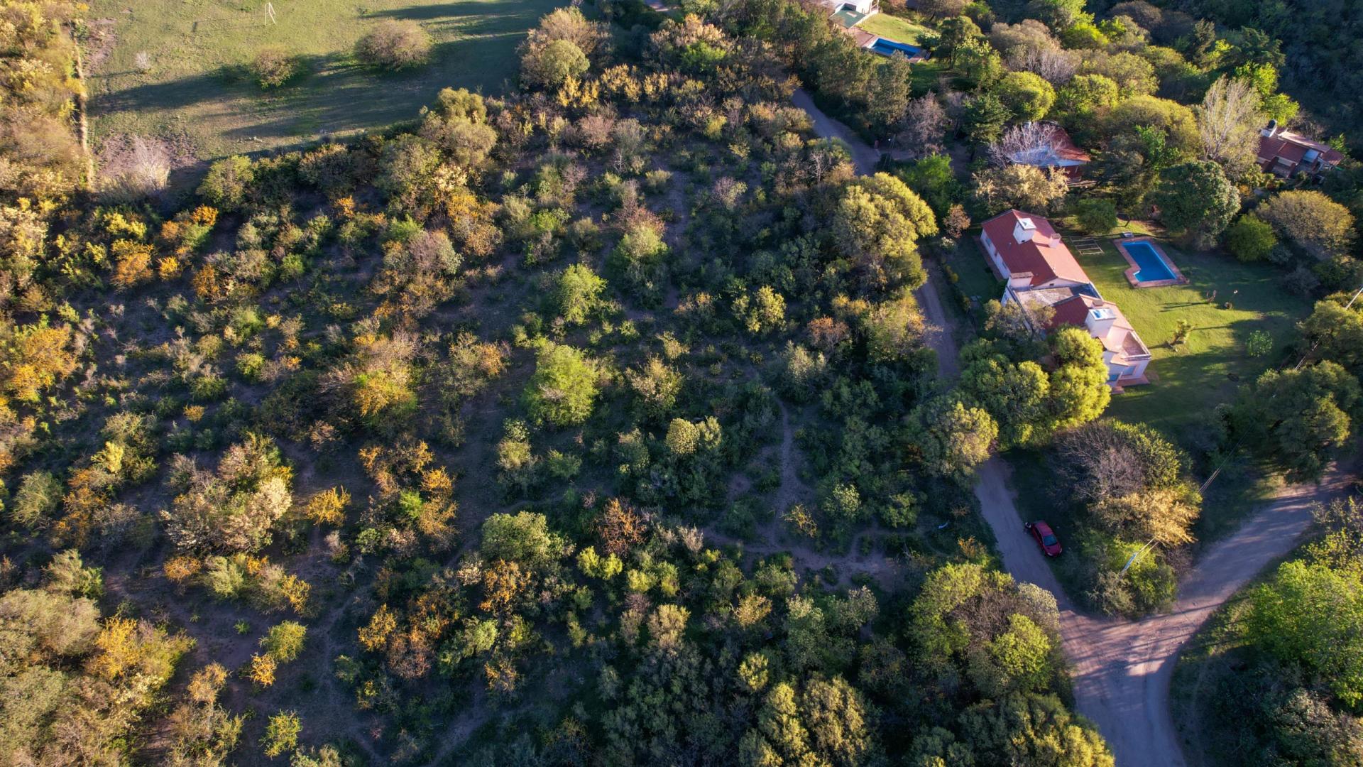 Lote de 10.000 m² en venta en La Granja, Córdoba — La Granja, Córdoba
