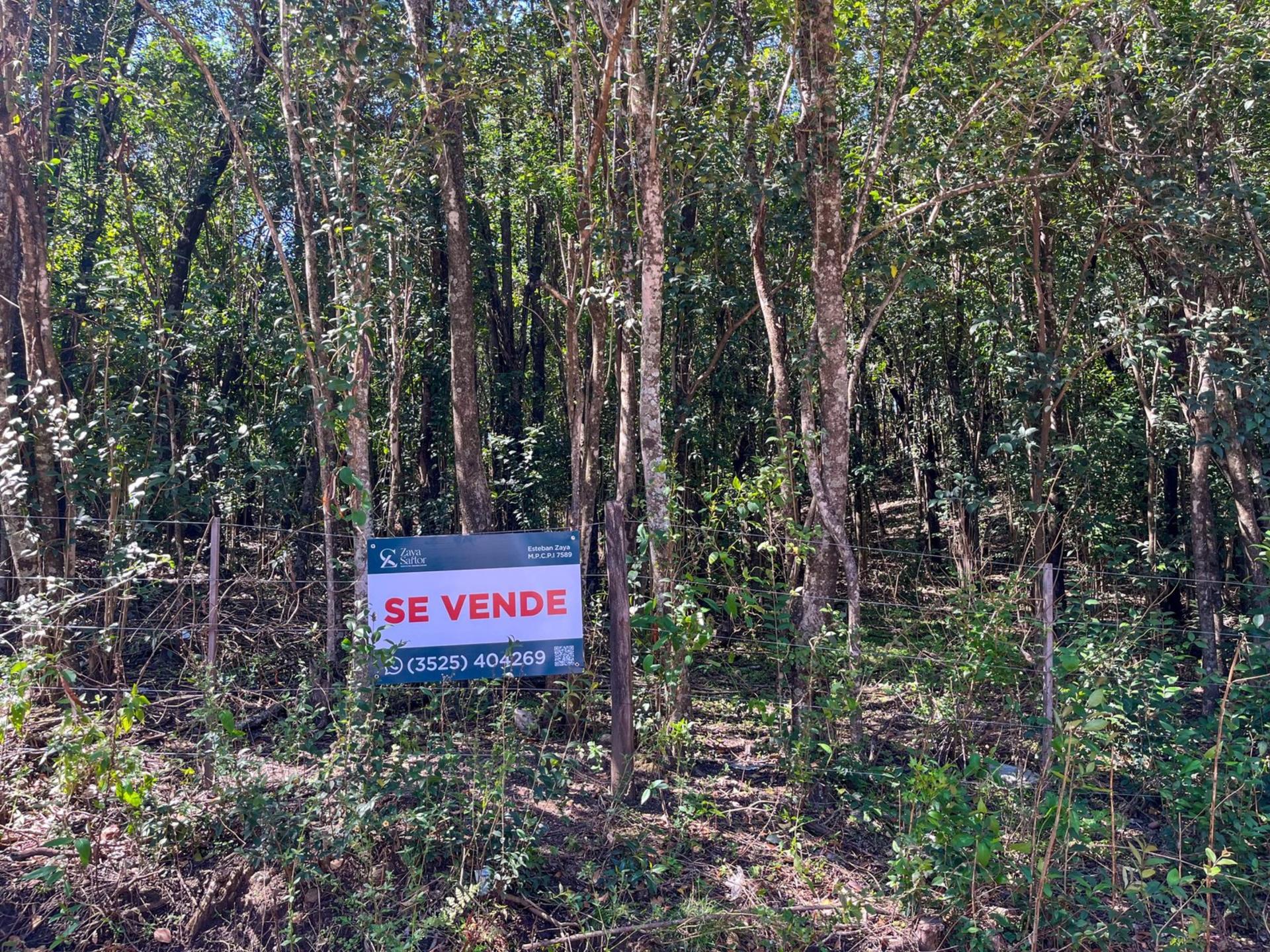 Lotes en venta – La Granja — La Granja, Córdoba