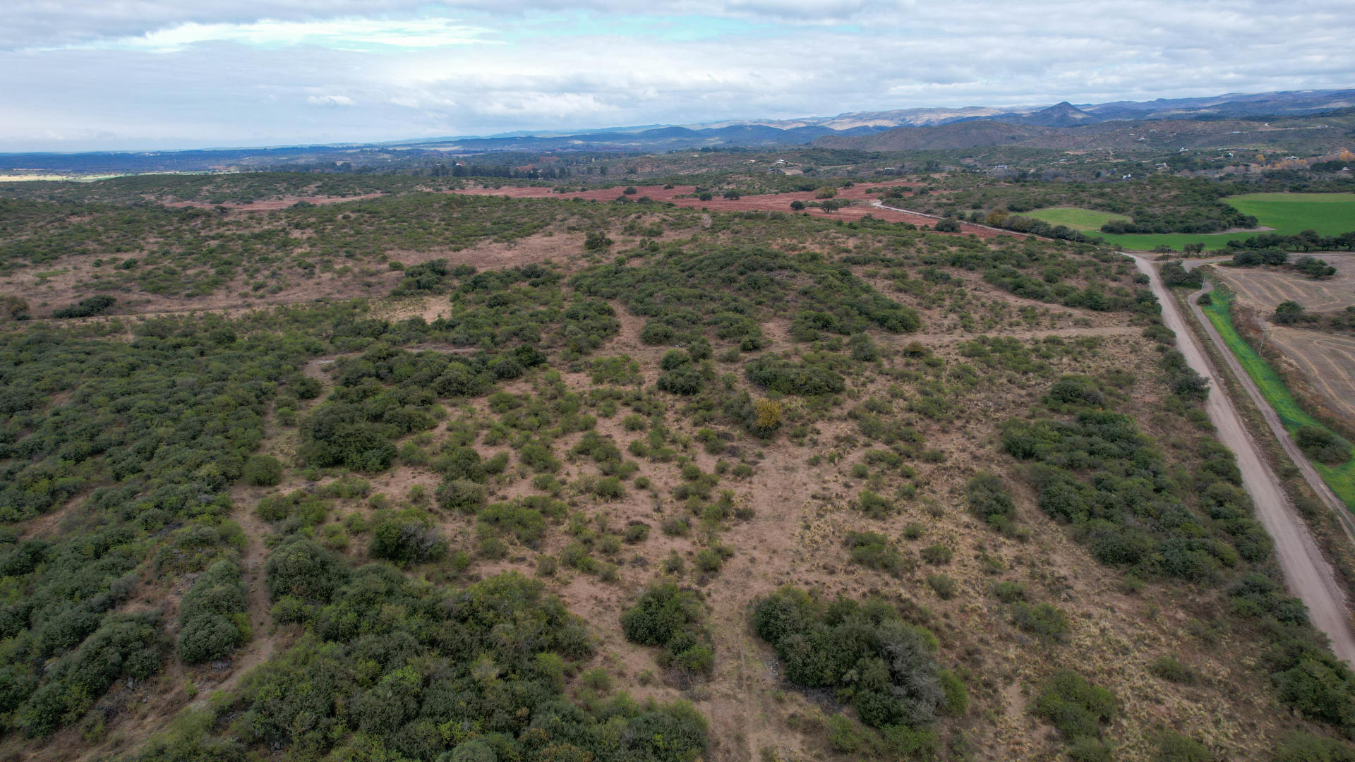 Fracción de Campo de 43 Hectáreas en La Pampa | Dpto. Totoral, Córdoba. - foto 4