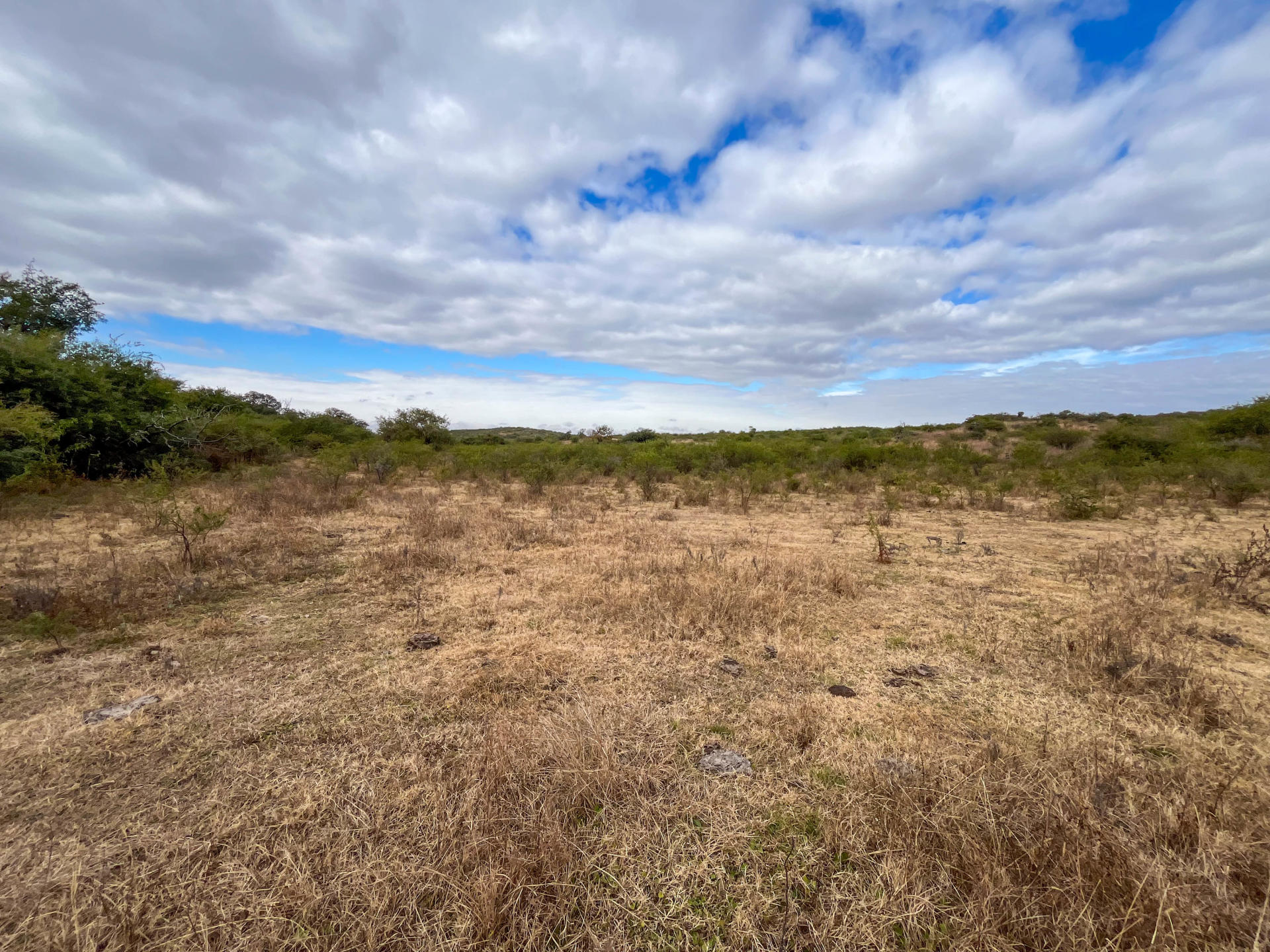 Fracción de Campo de 43 Hectáreas en La Pampa | Dpto. Totoral, Córdoba. - foto 2