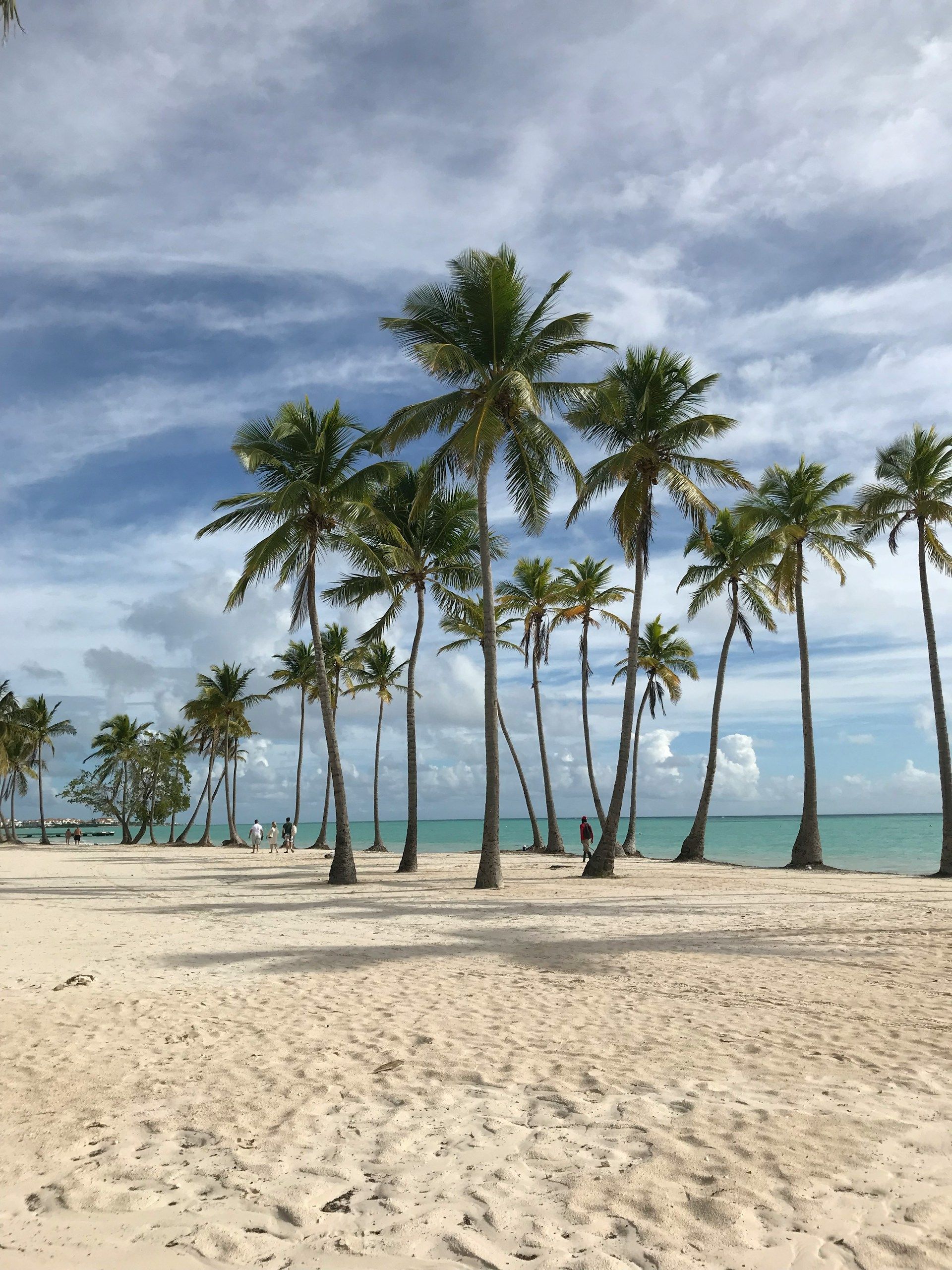 Authenticated guide for Punta Cana travelers featuring expert tips, safety advice, and comprehensive information for Dominican Republic vacations