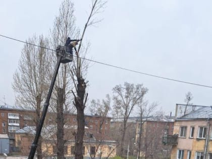 Жителям нравится: подрядчику во время ремонта дворов в Новокузнецке пришлось выкорчёвывать огромные тополя и строить новые парковки (ФОТО, ВИДЕО)