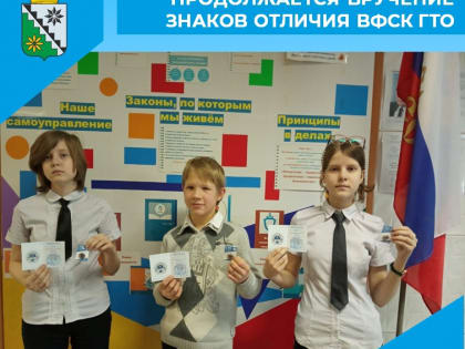 В Беловском муниципальном округе продолжается вручение знаков отличия ВФСК ГТО