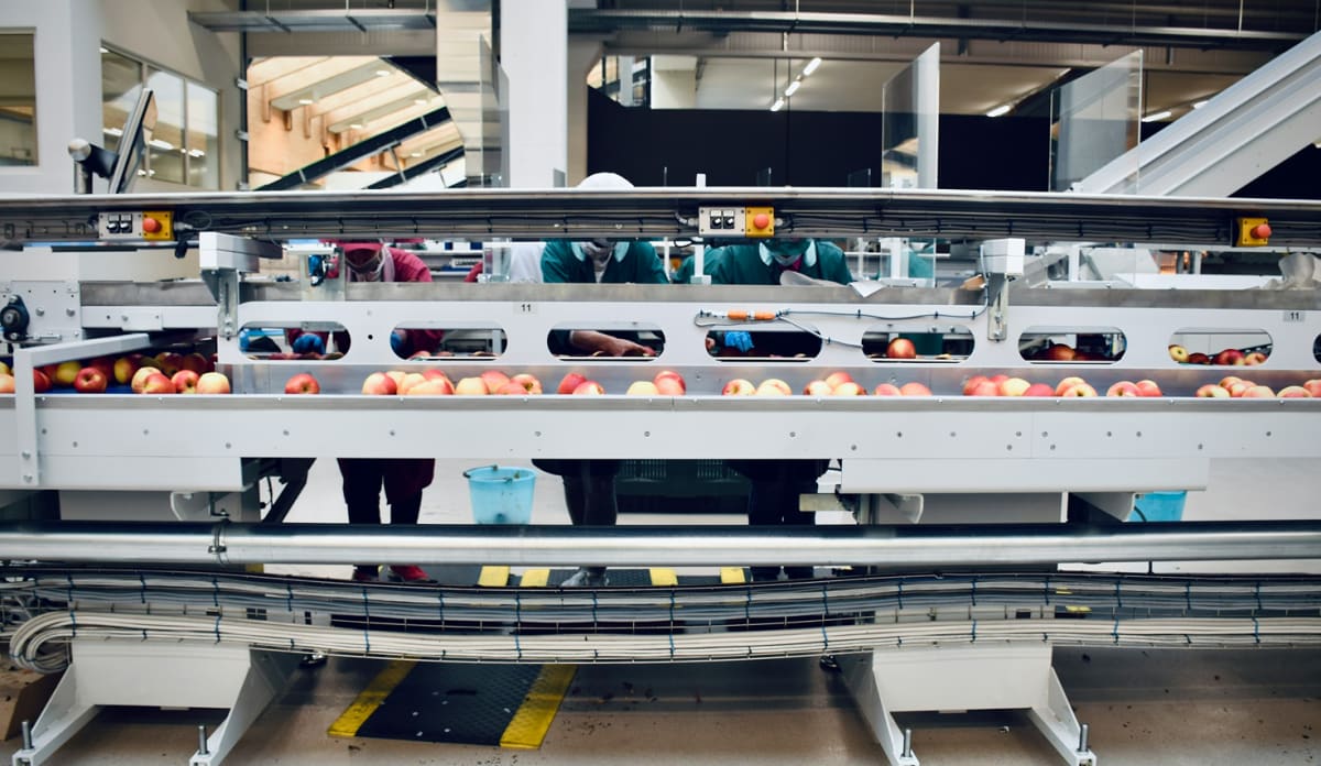 How ERP Helps the Food Industry Face Climate Change
