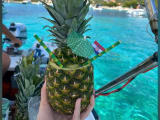 Underwater Museum & Adriatic VIP Experience thumbnail 4