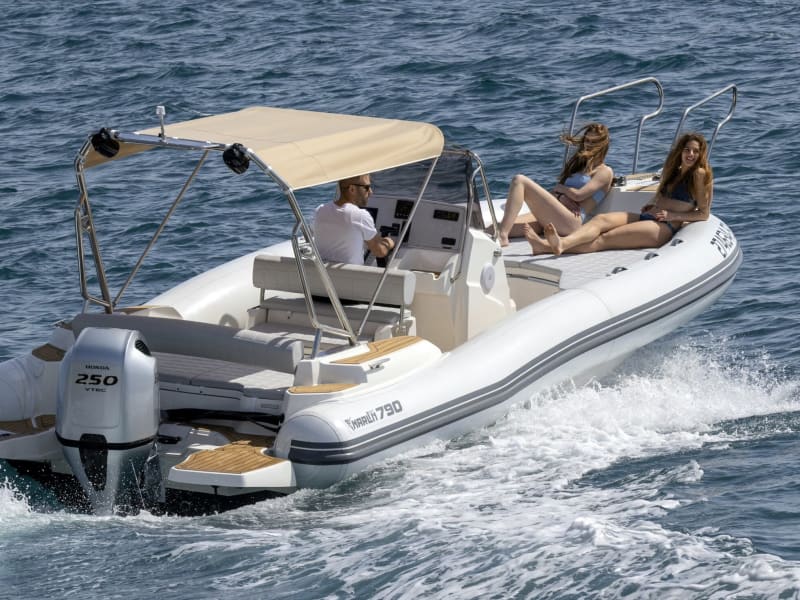 Marlin 790 Dynamic - photo 1