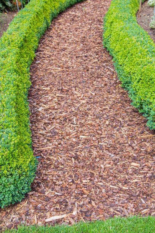 Mit Rindenmulch wirkt dein Gartenweg ganz natürlich