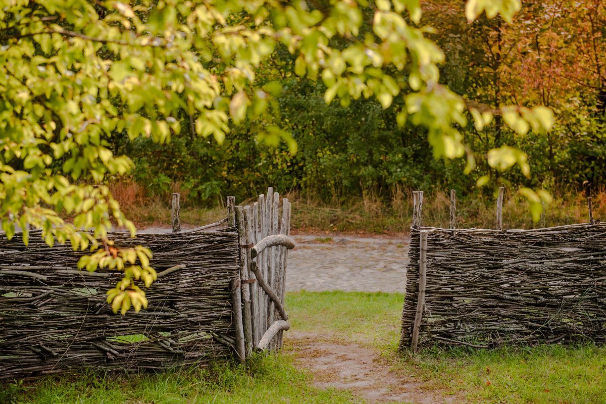 Natürliches Gartentor aus geflochtenen Zweigen und geschwungenen Holzelementen, das sich nahtlos in die ländliche Landschaft einfügt.