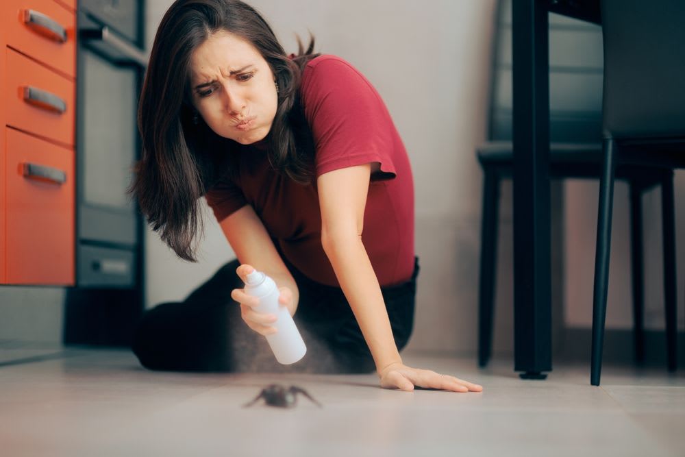 Ungeziefer im Haus loswerden: 10 hilfreiche Tipps