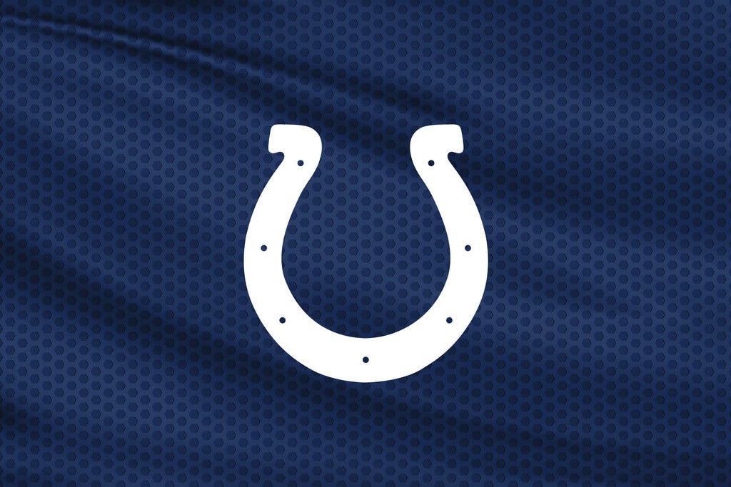 Preseason Game: Indianapolis Colts vs Detroit Lions