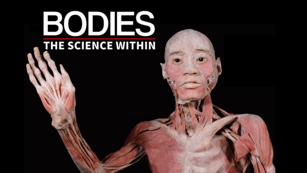Bodies - The Science Within - Denver