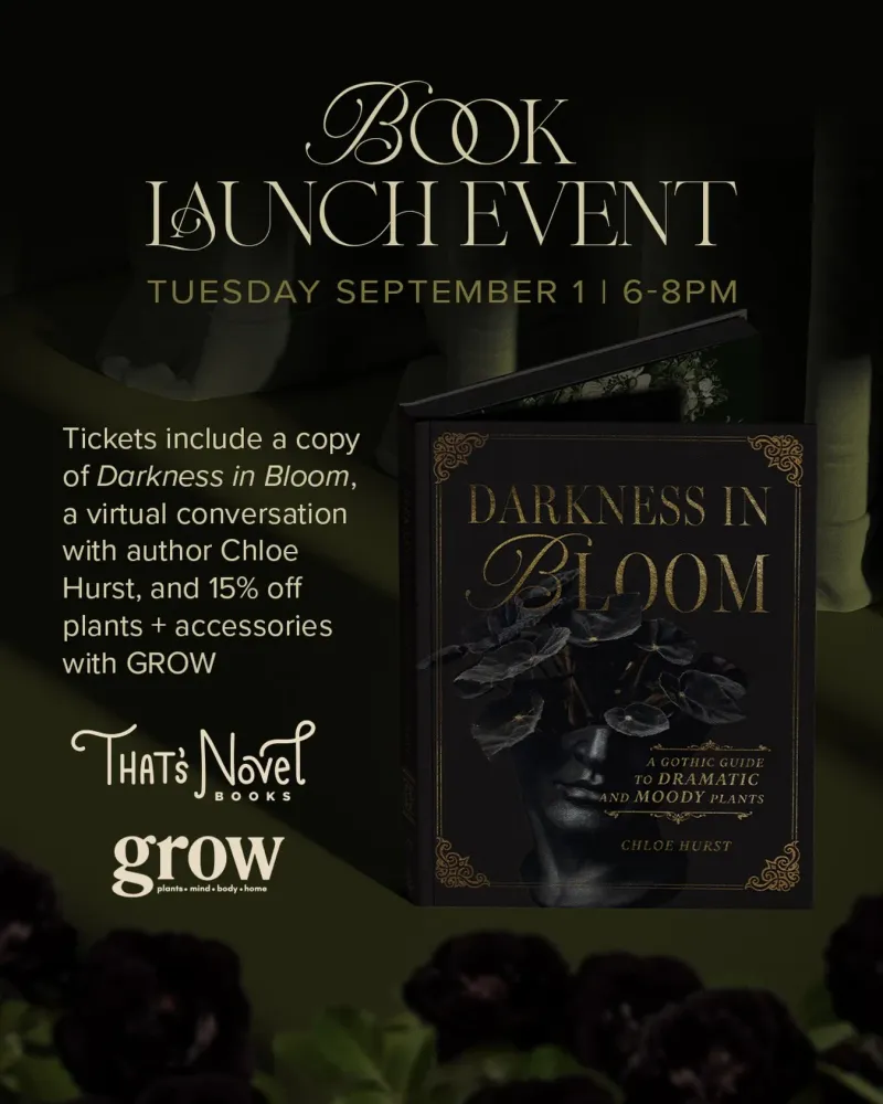 Darkness In Bloom Book Launch with Chloe Hurst