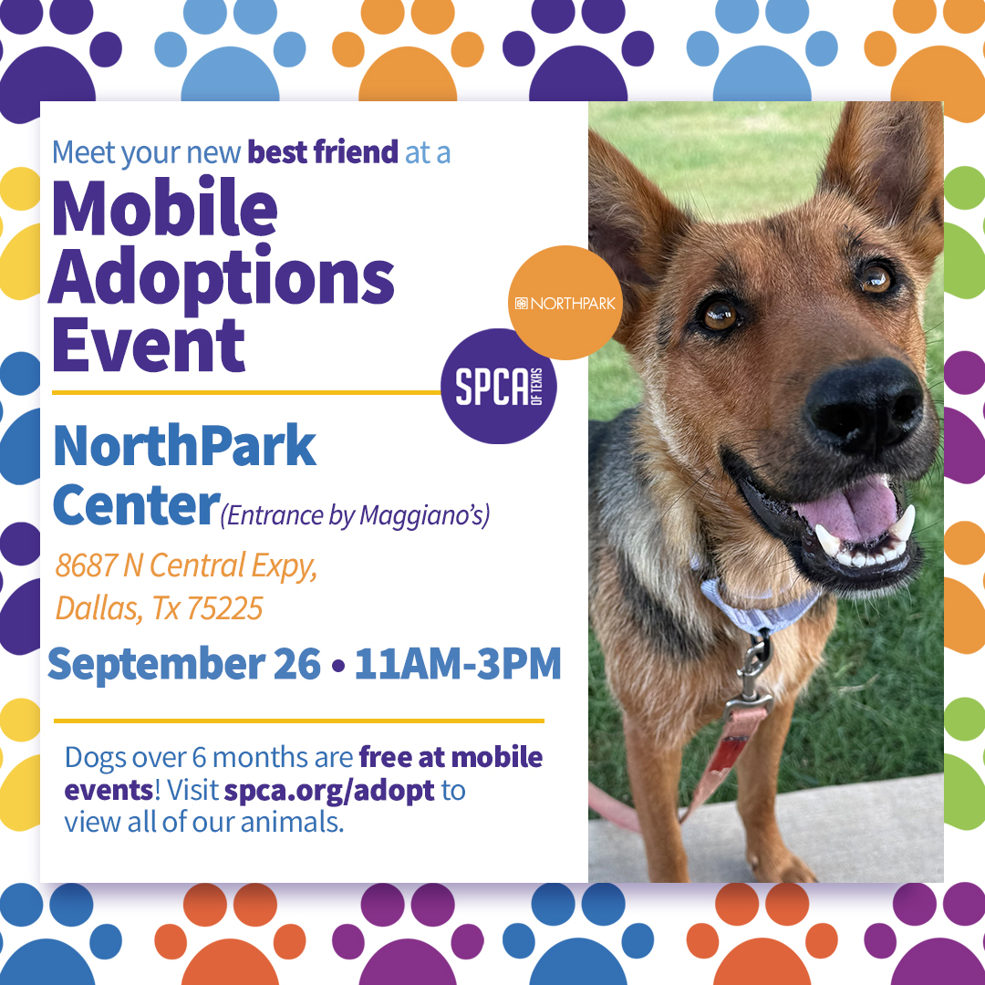 SPCA Dog Adoption Event