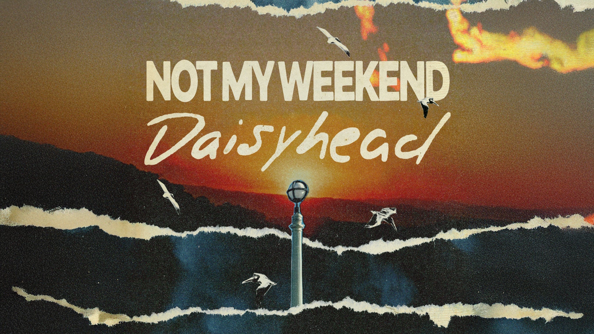 Not My Weekend & Daisyhead