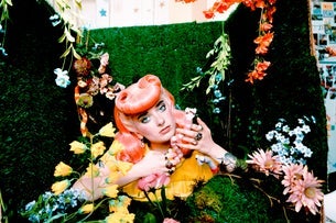 Sophie Truax: Can't Split A Worm Tour