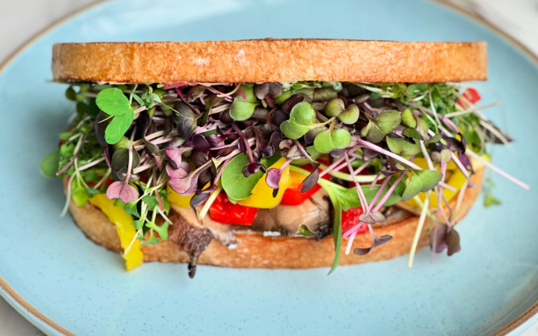 Gardening Club: Microgreens