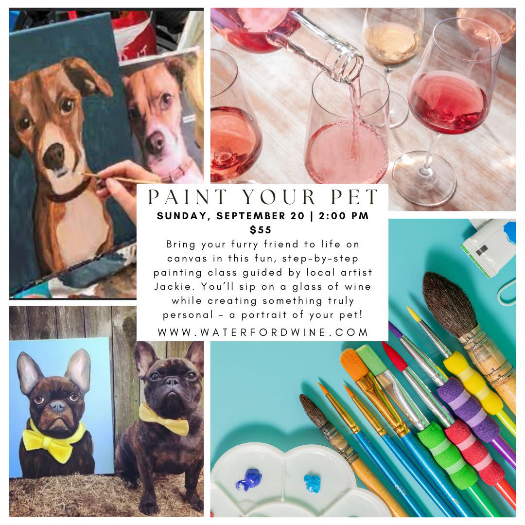 Paint & Sip Class: Pet Edition