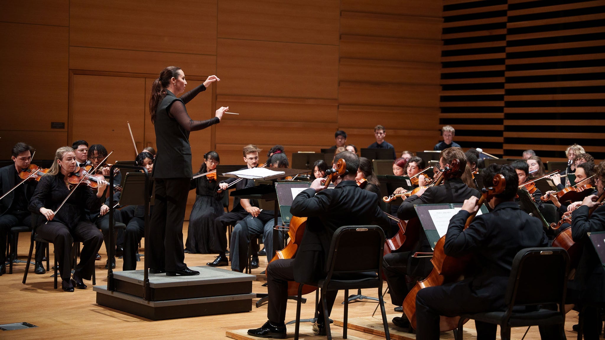USF Symphony Orchestra