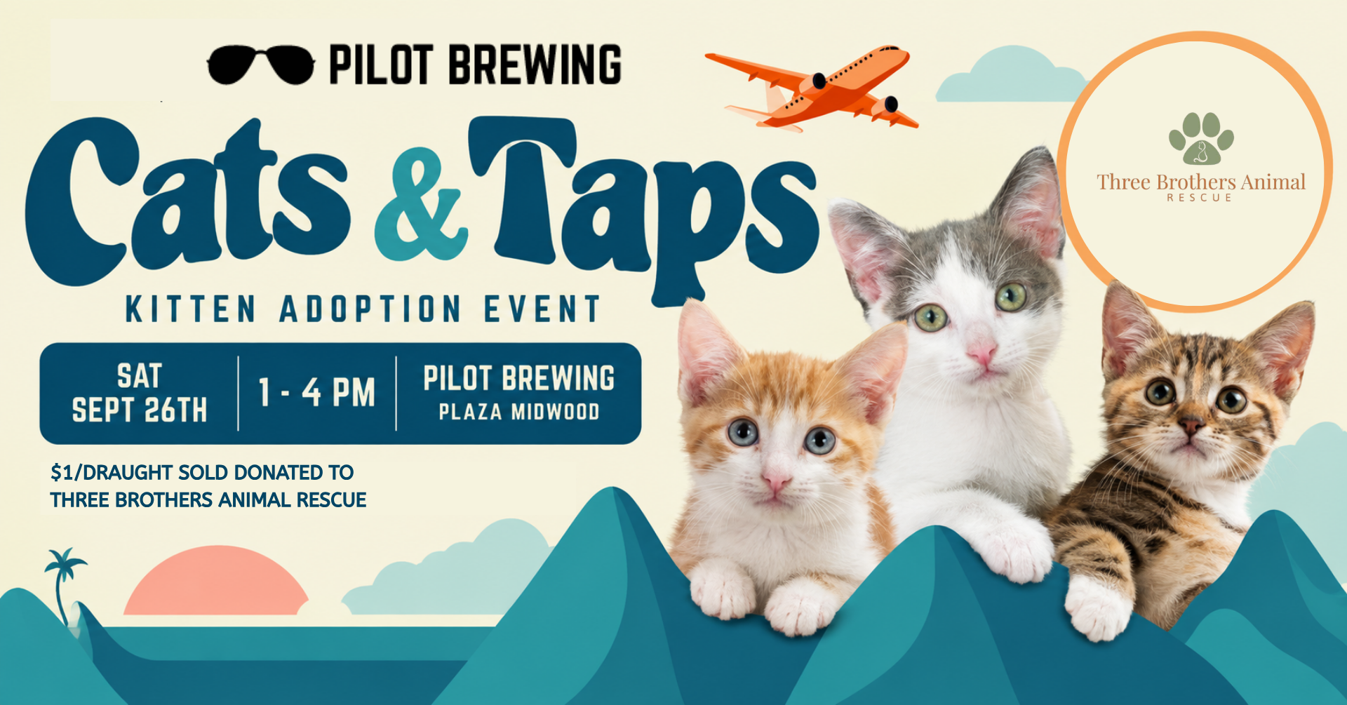 Cats & Taps: Kitten Adoption Event