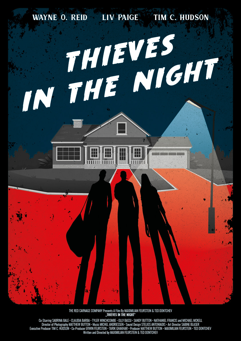 Thieves in the Night