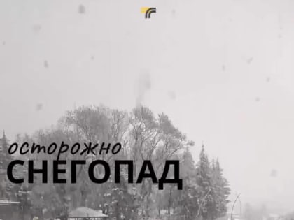 Минимизируйте поездки на личном транспорте в метель