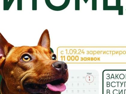 За несоблюдение обязательной регистрации питомцев предусмотрен штраф