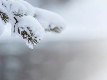 На Подмосковье движется похолодание и снег