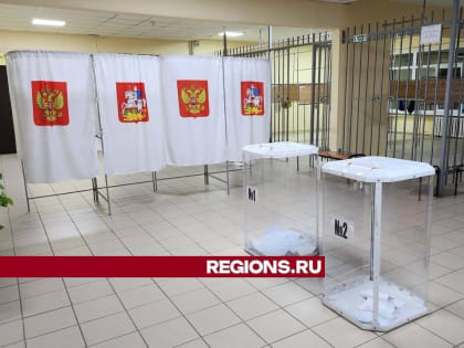 Голосование в Кашире: выборы прошли без инцидентов