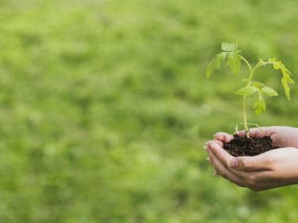 Объявлен старт II Всероссийского конкурса детей и молодёжи «Юный Управдом – созидатель благоприятной среды проживания»