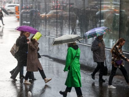 Сегодня в Москве и области будет пасмурно и прохладно