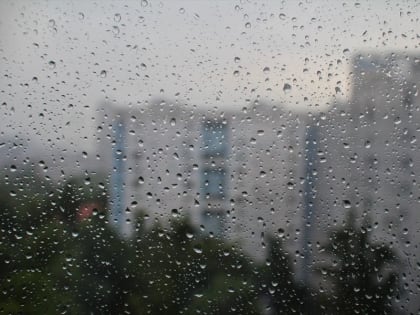 Сегодня в Подмосковье ожидается дождь и порывистый ветер