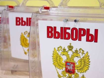 Выборы в Кашире: голосование продолжается