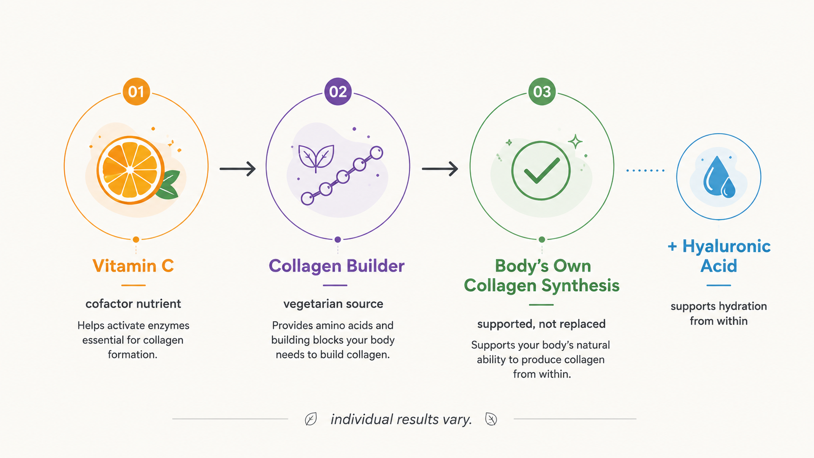 Diagram showing vitamin C and vegetarian collagen builder supporting the body's own collagen synthesis, alongside hyaluronic acid for hydration