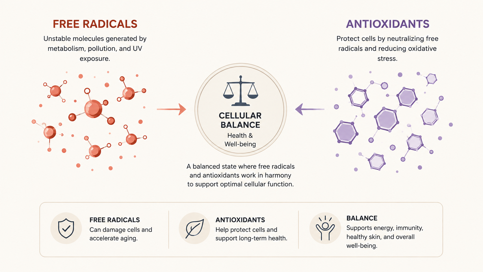 Diagram showing free radicals on one side and antioxidants including glutathione on the other, balancing at the cellular level
