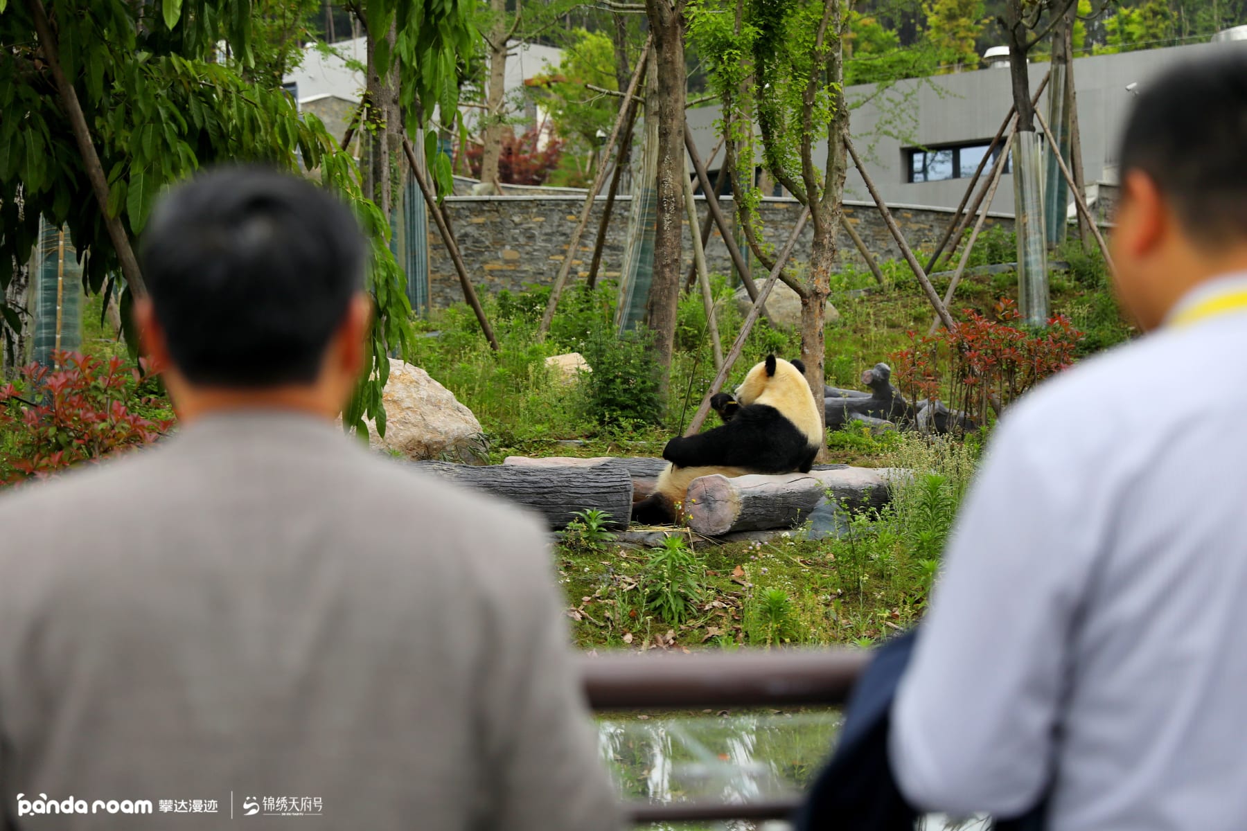 Xinjiang landscape along the Jinxiu Tianfu luxury rail journey preview image