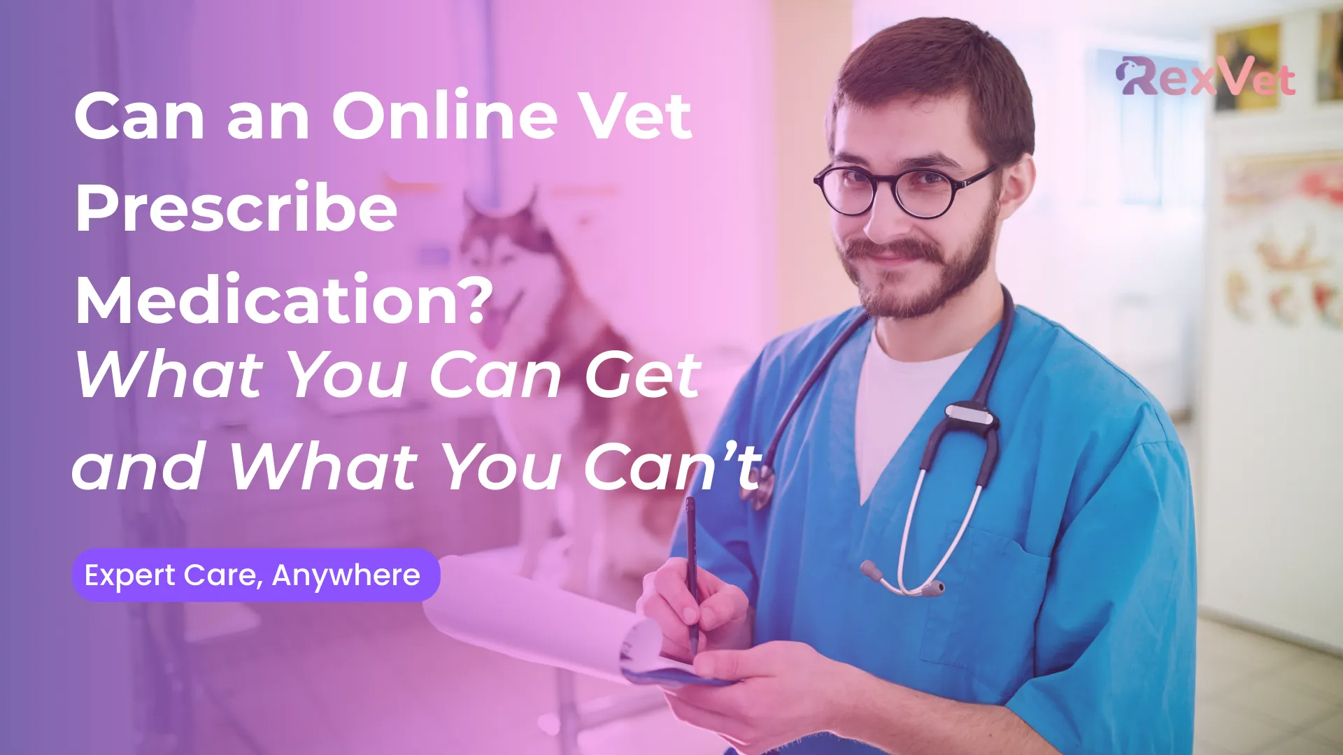 Can an Online Vet Prescribe Medication? What You Can Get and What You Can’t